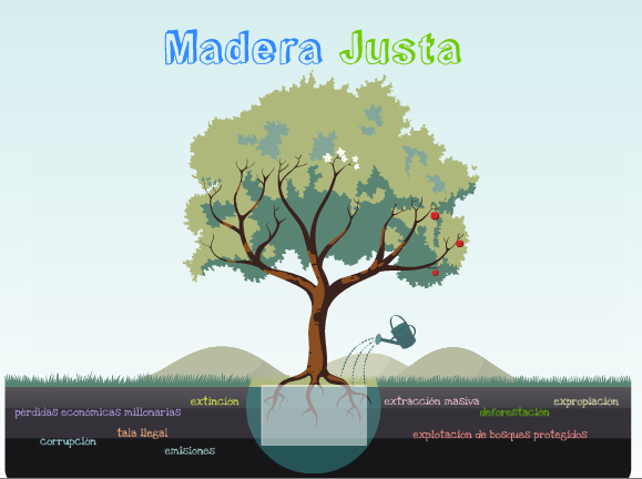 madera justa.png