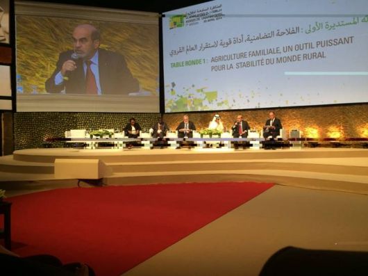 530_copydg morocco 2.jpg