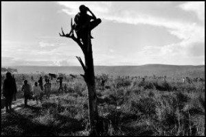 ruanda.jpg