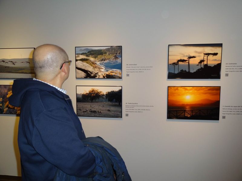 expo luces y sombras. naturaleza y artificio. sala siglo 4.jpg
