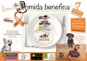 cartel comida benefica.jpg