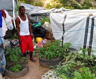 ach haiti.jpg