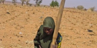 NIGER: Thousands of villages hit by severe food shortages
