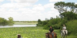 Día Mundial 2012: humedales y turismo, oportunidades y beneficios por descubrir