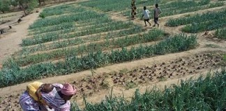 “Empoderar a la mujer es garantía de desarrollo»