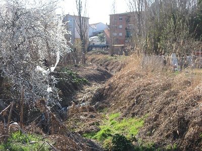 arroyo1.jpg