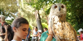 Cerca de 500 niños con y sin discapacidad disfrutarán en los campamentos de integración que organiza la ONCE