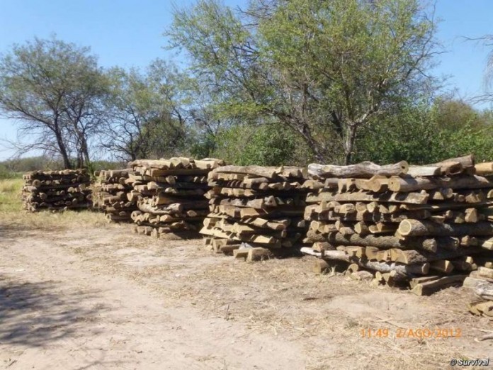 madera.jpeg