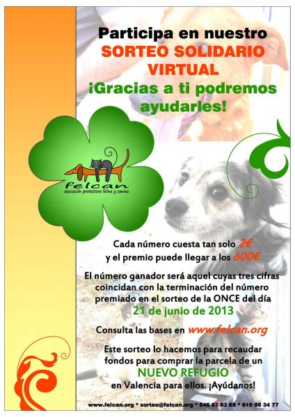 felcan rifa.jpg