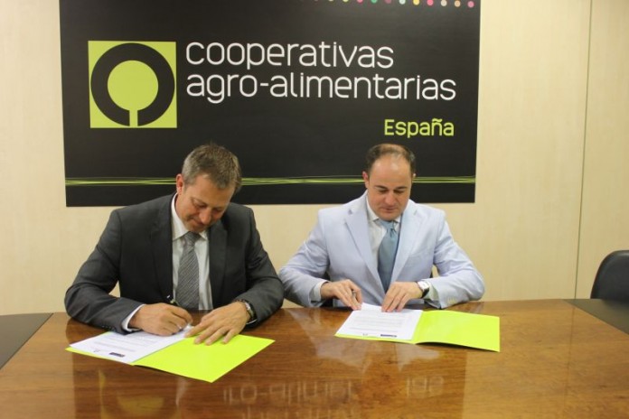 cooperativas.jpg