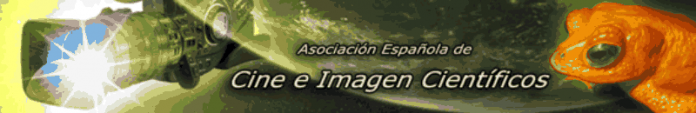 asecic.png