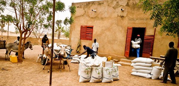 sahel-crisis-dsc00172-1.jpg