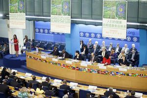 2040cec026.jpg