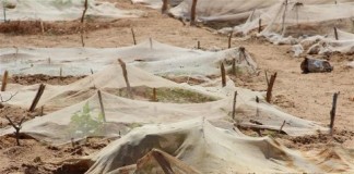 UN shifts approach to help Sahel’s 20 million hungry