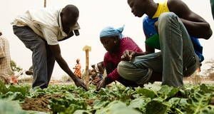 Los proyectos de huertos para jóvenes de Slow Food en África promueven la nutrición y la sostenibilidad