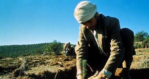 La desnutrición en Oriente Próximo y el Norte de África tiene causas complejas