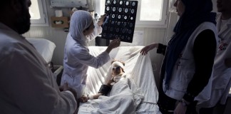 MSF revela cómo la atención médica sigue estando fuera del alcance de muchos pacientes en Afganistán