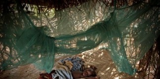 Malaria fight sees decade of progress, with pitfalls ahead