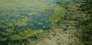 Worsening food crisis in South Sudan’s swamplands