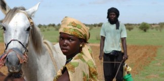 United Nations calls for pro-family farming policies