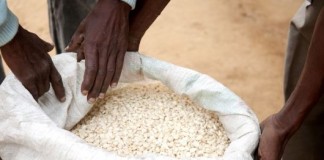 New initiative enables Somali farmers to produce food assistance