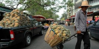 Asia-Pacific countries adopt roadmap to push toward goal of zero hunger