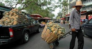 Los países de Asia y el Pacífico aprueban una “hoja de ruta” hacia el objetivo del hambre cero