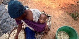 FAO calls for action to accelerate economic transformation and development in Africa