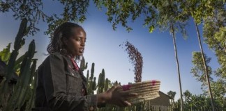 Los primeros seis países se benefician del fondo fiduciario africano