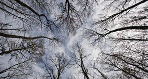 Climate change, malnutrition, family farming and agri-food trade on FAO radar