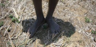 Drought begins to bite in Sri Lanka