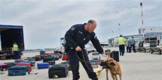 Women paying price of Latin America drug wars