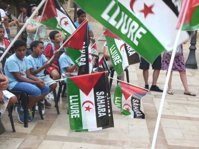 ninos saharauis en la trobada de valencia01.jpg