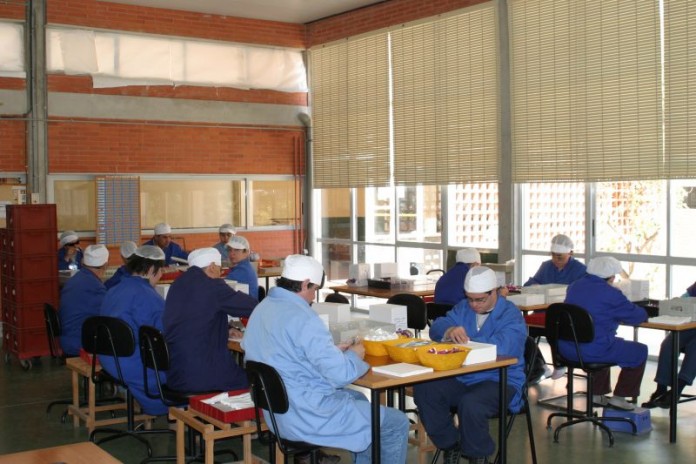 trabajadores apsa.jpg
