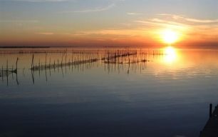 306_ozre_fotonoticia_20140820172838_644.jpg