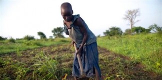 In photos: A decade on, effects of Uganda’s war linger