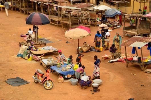 530_guinea.jpg