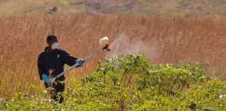 Nueva guía ilustrada para proteger a los niños de los plaguicidas