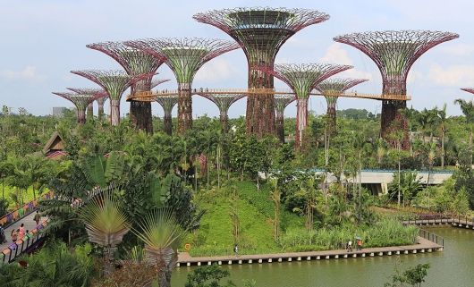 530_1200px-supertree_grove,_gardens_by_the_bay,_singapore_-_20120712-02.jpg