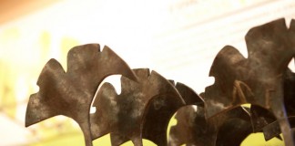 Convocatoria Premios Verdes 2015