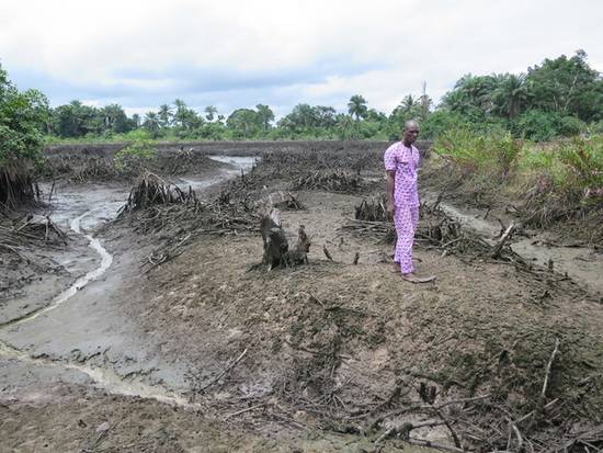 La contaminación en el Delta del Níger no mejora, a pesar de las promesas de la Shell de limpiar la zona. © AI