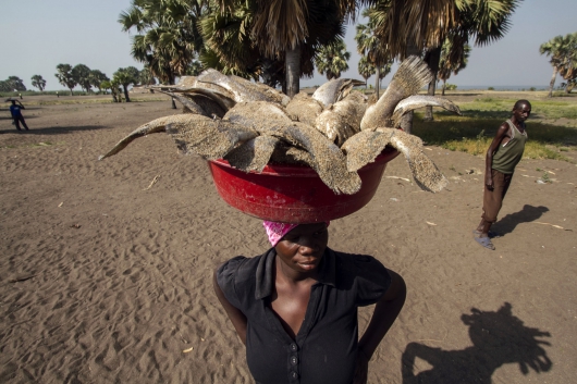 humania 530_AGADIR1sostenibilidad sector pesquero humania 530_AGADIR1sostenibilidad sector pesquero