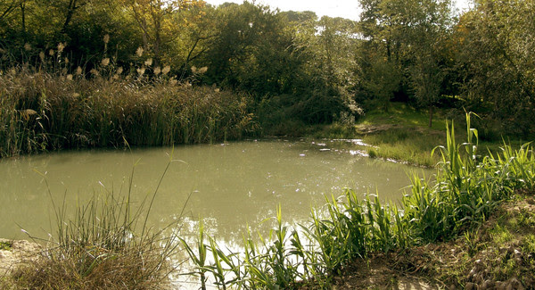 humania greenpeace escasez agua
