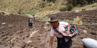 Agricultoras en la región de Cusco