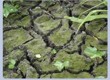 informe-agua-cc-2016 copia