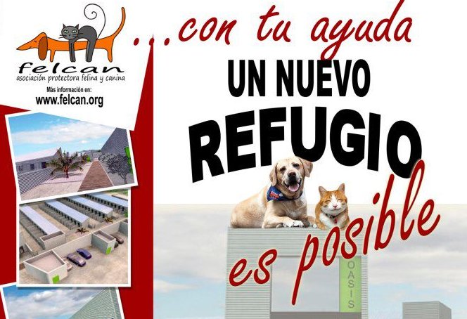 rastrillo-benefico-felcan