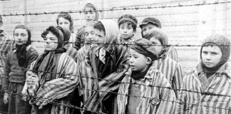 27 de enero. Día Internacional de Conmemoración anual en memoria de las víctimas del Holocausto